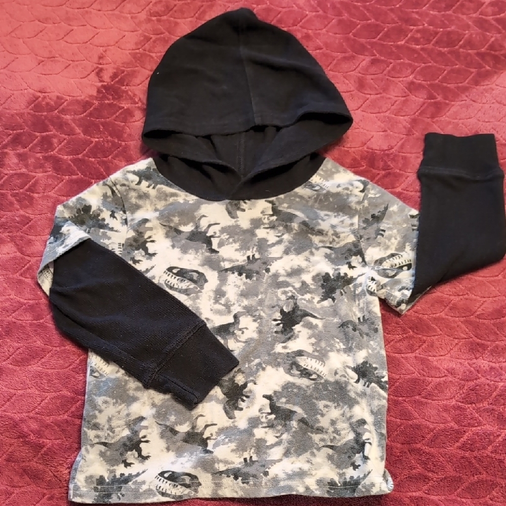 The Children's Place Dinosaur Layered Shirt